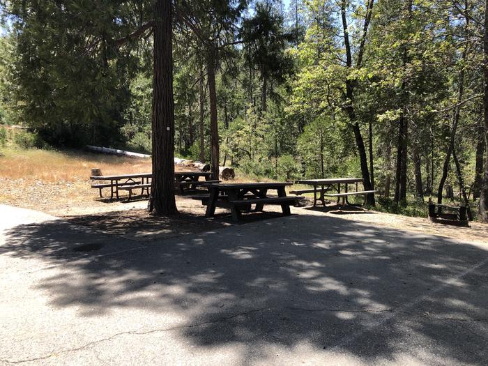 A photo of Site 015 of Loop 08-17 at CEDAR BLUFF with Picnic Table, Fire Pit, Shade, Tent Pad