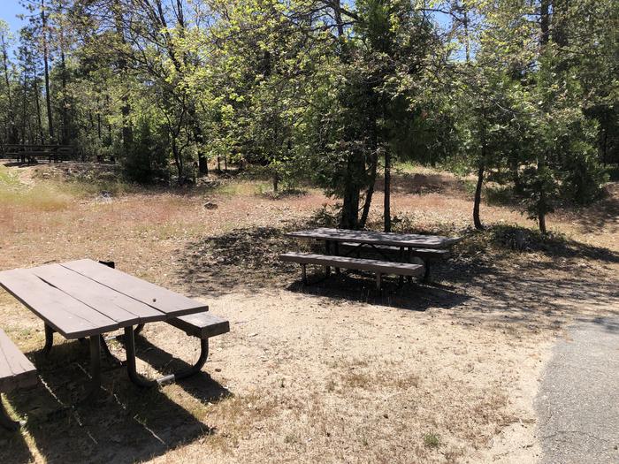 A photo of Site 012 of Loop 08-17 at CEDAR BLUFF with Picnic Table, Fire Pit, Shade, Tent Pad