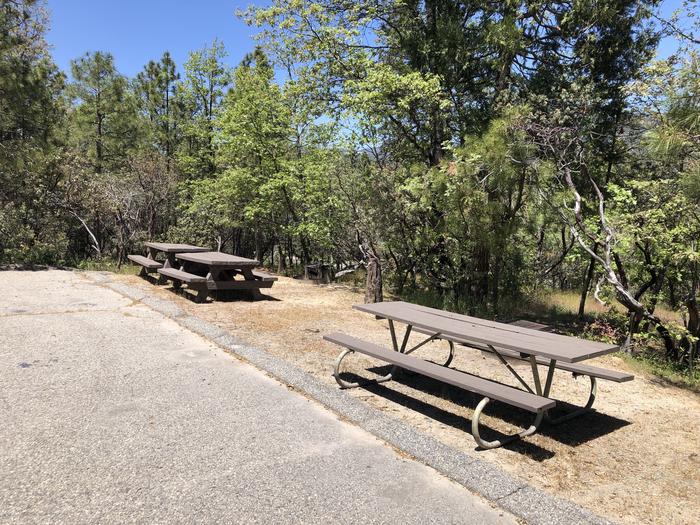 A photo of Site 009 of Loop 08-17 at CEDAR BLUFF with Picnic Table, Fire Pit