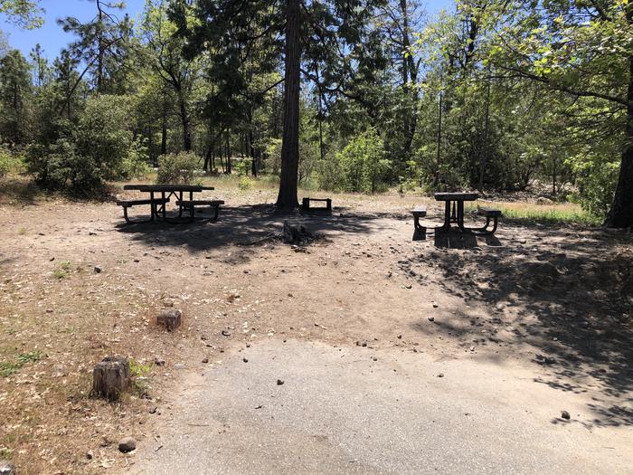 A photo of Site 002 of Loop 01-07 at CEDAR BLUFF with Picnic Table, Fire Pit, Shade, Tent Pad