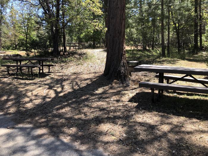 A photo of Site 010 of Loop 08-17 at CEDAR BLUFF with Picnic Table, Fire Pit, Shade, Tent Pad