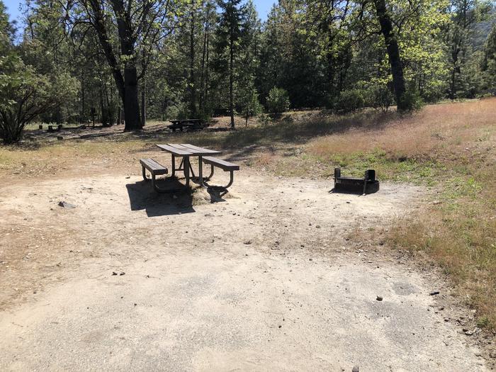 A photo of Site 066 of Loop 63-75 at LUPINE with Picnic Table, Fire Pit, Tent Pad