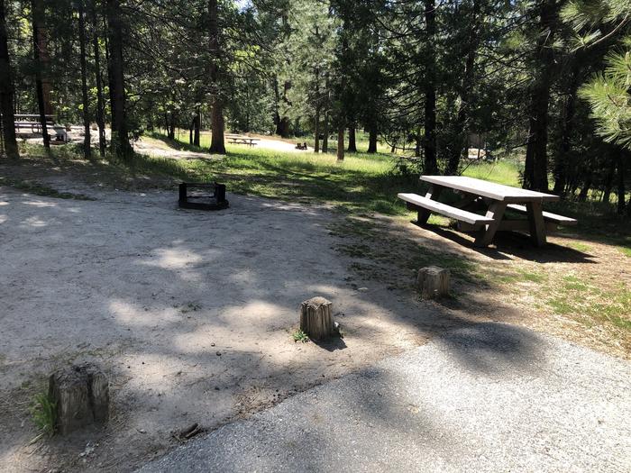 A photo of Site 083 of Loop 76-93 at LUPINE with Picnic Table, Fire Pit, Shade, Tent Pad