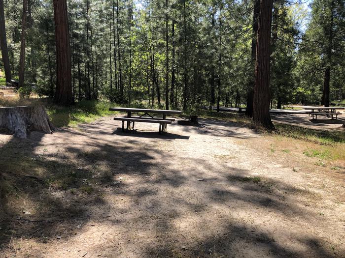 A photo of Site 080 of Loop 76-93 at LUPINE with Picnic Table, Fire Pit, Shade, Tent Pad