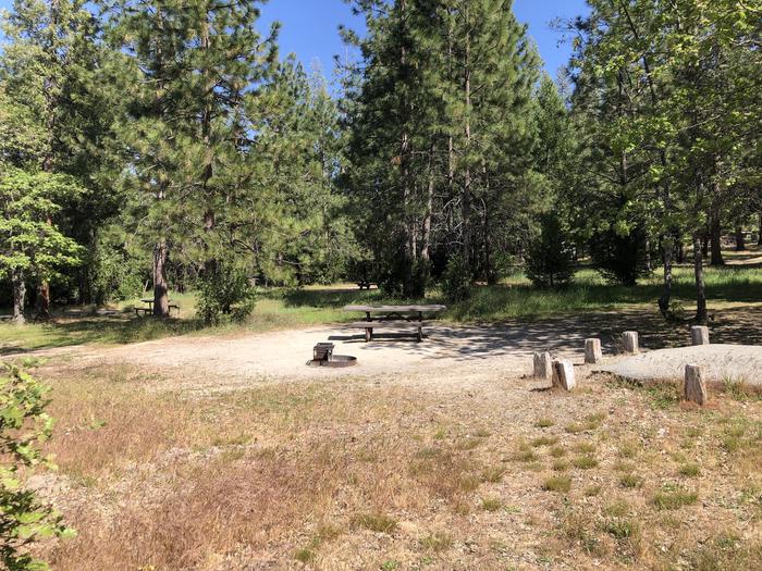 A photo of Site 077 of Loop 76-93 at LUPINE with Picnic Table, Fire Pit, Shade, Tent Pad