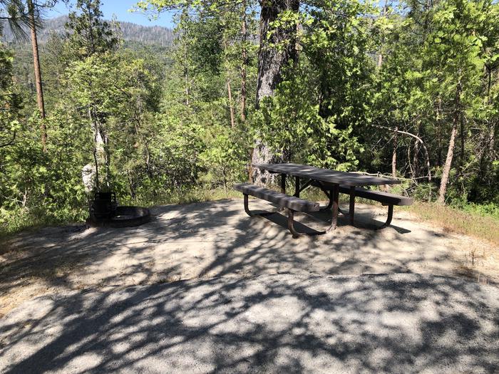 A photo of Site 087 of Loop 76-93 at LUPINE with Picnic Table, Fire Pit, Shade, Tent Pad
