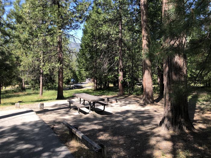 A photo of Site 079 of Loop 76-93 at LUPINE with Picnic Table, Fire Pit, Shade, Tent Pad