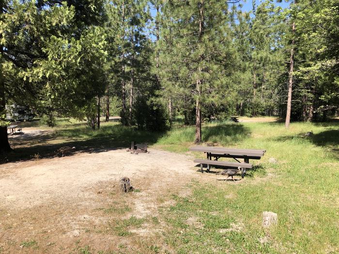 A photo of Site 078 of Loop 76-93 at LUPINE with Picnic Table, Fire Pit, Shade, Tent Pad