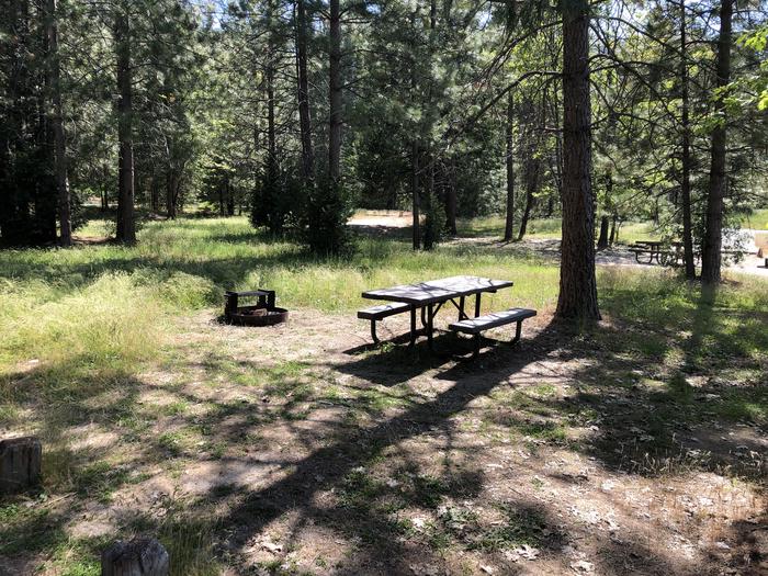 A photo of Site 086 of Loop 76-93 at LUPINE with Picnic Table, Fire Pit, Shade, Tent Pad