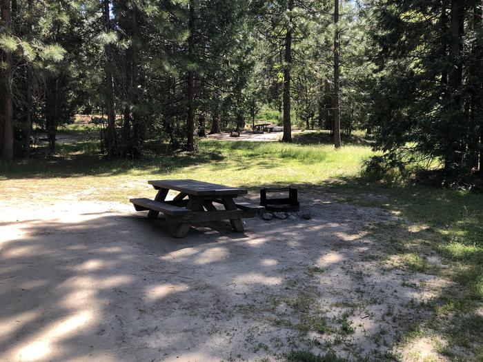 A photo of Site 084 of Loop 76-93 at LUPINE with Picnic Table, Fire Pit, Shade, Tent Pad