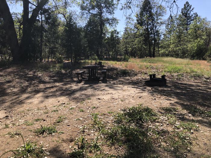 A photo of Site 075 of Loop 63-75 at LUPINE with Picnic Table, Fire Pit, Shade, Tent Pad