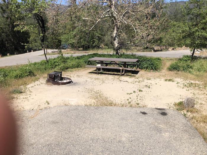 A photo of Site 071 of Loop 63-75 at LUPINE with Picnic Table, Fire Pit, Tent Pad