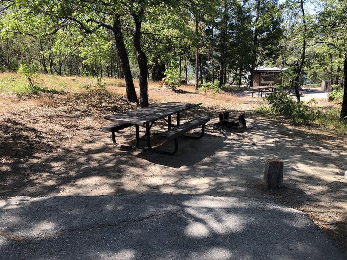 A photo of Site 074 of Loop 63-75 at LUPINE with Picnic Table, Fire Pit, Shade, Tent Pad