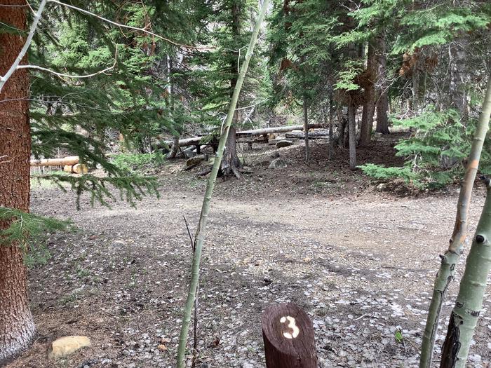 A photo of Site 3 of Loop Main at BRIDGES CAMPGROUND with Picnic Table, Fire Pit