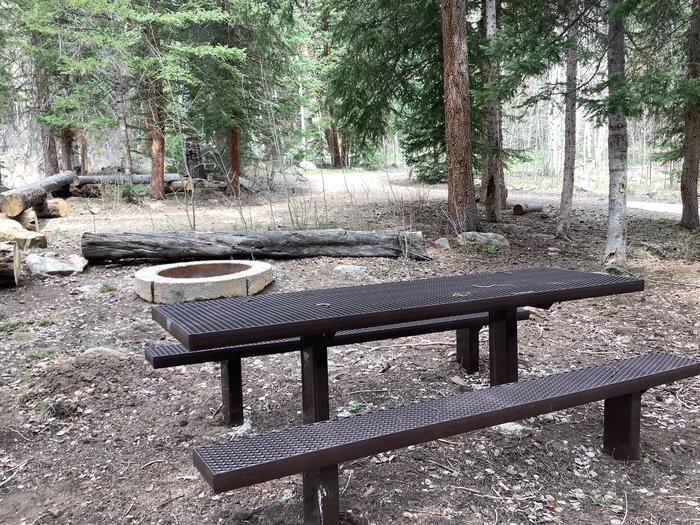 A photo of Site 3 of Loop Main at BRIDGES CAMPGROUND with Picnic Table, Fire Pit