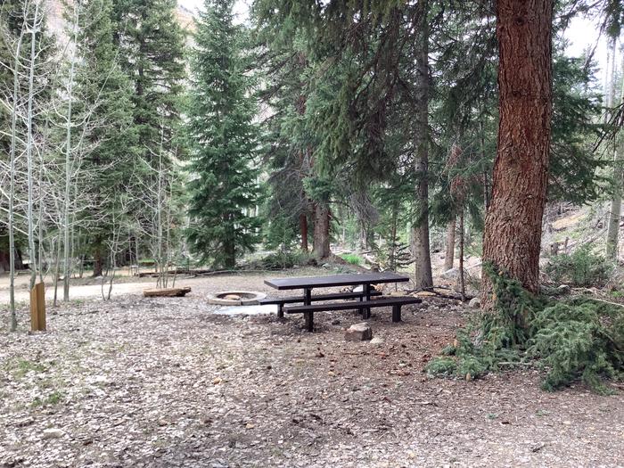 A photo of Site 2 of Loop Main at BRIDGES CAMPGROUND with Picnic Table, Fire Pit