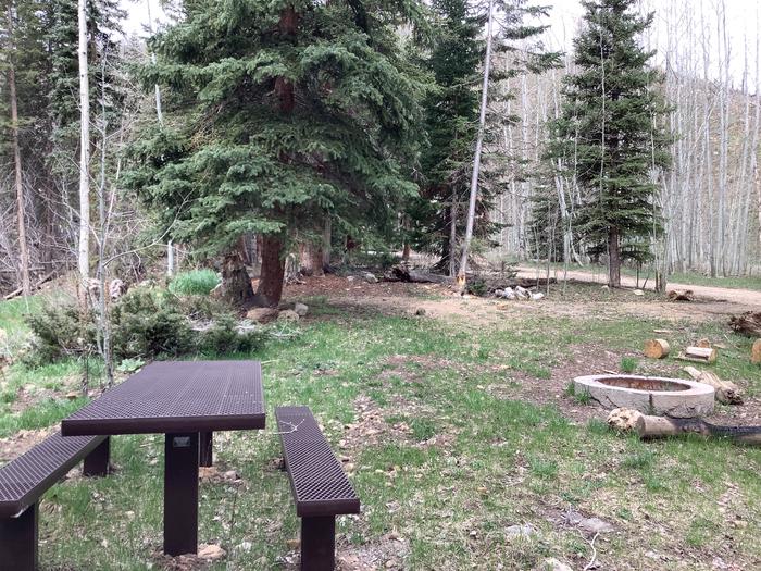 A photo of Site 1 of Loop Main at BRIDGES CAMPGROUND with Picnic Table, Fire Pit