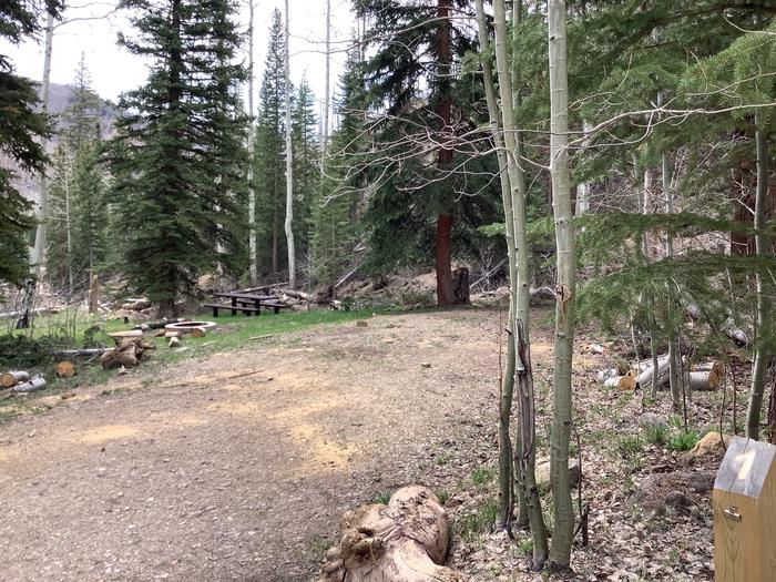 A photo of Site 1 of Loop Main at BRIDGES CAMPGROUND with Picnic Table, Fire Pit