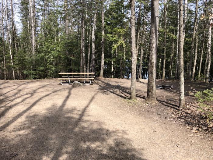 A photo of Site 22 of Loop Small Loop at RICHARDSON LAKE CAMPGROUND with Picnic Table, Fire Pit, Tent Pad