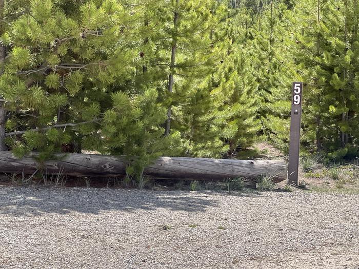 A photo of Site 059 of Loop D at PROSPECTOR with Picnic Table, Fire Pit, Tent Pad