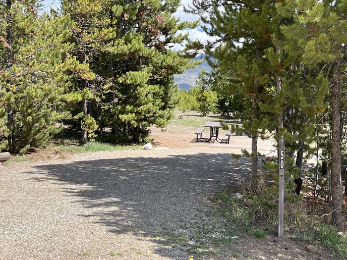 A photo of Site 050 of Loop D at PROSPECTOR with Picnic Table, Fire Pit, Shade, Tent Pad
