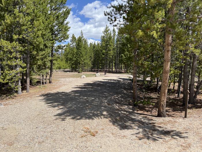 A photo of Site 051 of Loop D at PROSPECTOR with Picnic Table, Fire Pit, Shade, Tent Pad