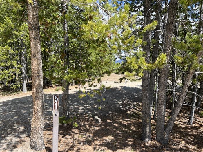 A photo of Site 051 of Loop D at PROSPECTOR with Picnic Table, Fire Pit, Tent Pad