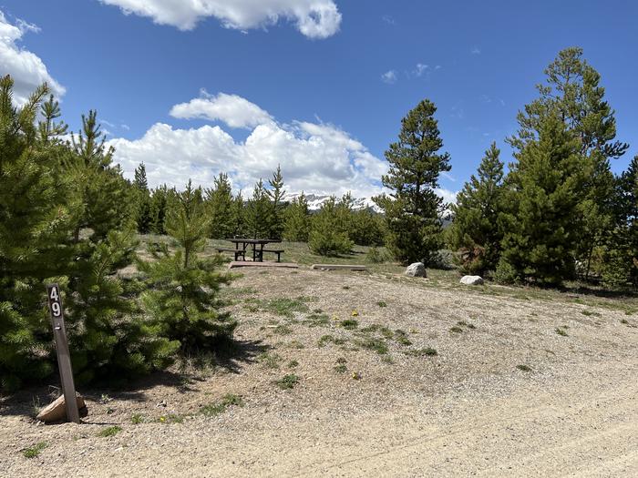 A photo of Site 049 of Loop D at PROSPECTOR with Picnic Table, Fire Pit, Tent Pad