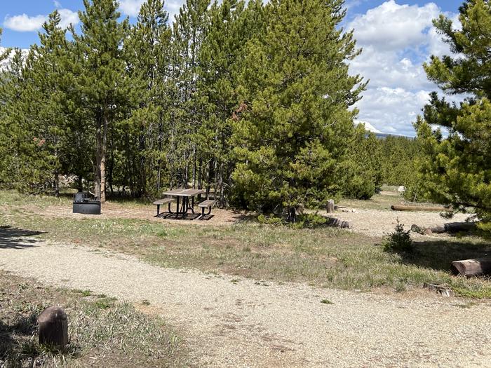 A photo of Site 042 of Loop C at PROSPECTOR with Picnic Table, Fire Pit, Shade, Tent Pad