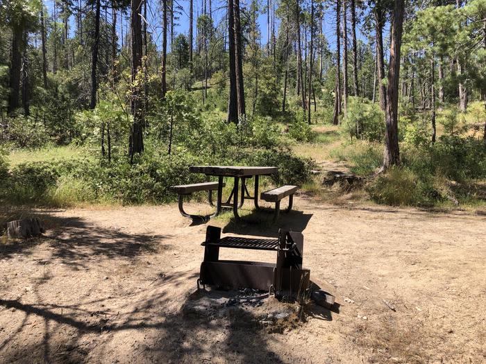 A photo of Site 089 of Loop 76-93 at LUPINE with Picnic Table, Fire Pit, Shade, Tent Pad