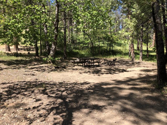 A photo of Site 094 of Loop 94-113 at LUPINE with Picnic Table, Fire Pit, Shade, Tent Pad