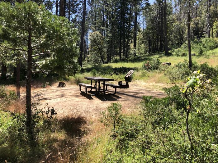 A photo of Site 091 of Loop 76-93 at LUPINE with Picnic Table, Fire Pit, Shade, Tent Pad