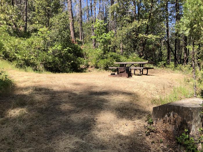 A photo of Site 093 of Loop 76-93 at LUPINE with Picnic Table, Fire Pit, Shade, Tent Pad