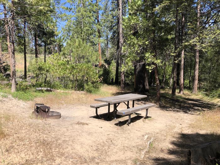 A photo of Site 088 of Loop 76-93 at LUPINE with Picnic Table, Fire Pit, Shade, Tent Pad