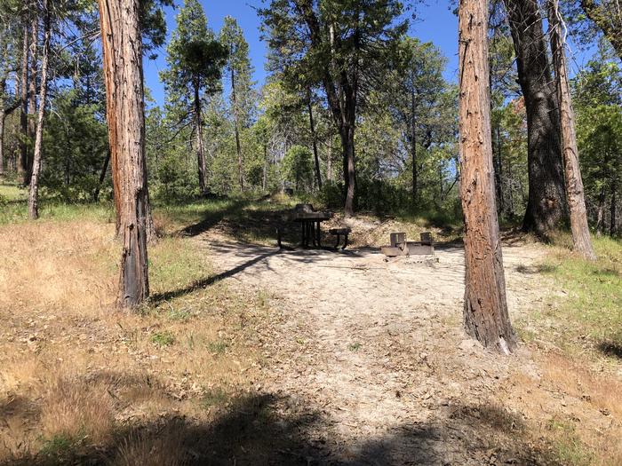 A photo of Site 090 of Loop 76-93 at LUPINE with Picnic Table, Fire Pit, Shade, Tent Pad