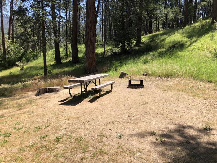A photo of Site 097 of Loop 94-113 at LUPINE with Picnic Table, Fire Pit, Shade, Tent Pad