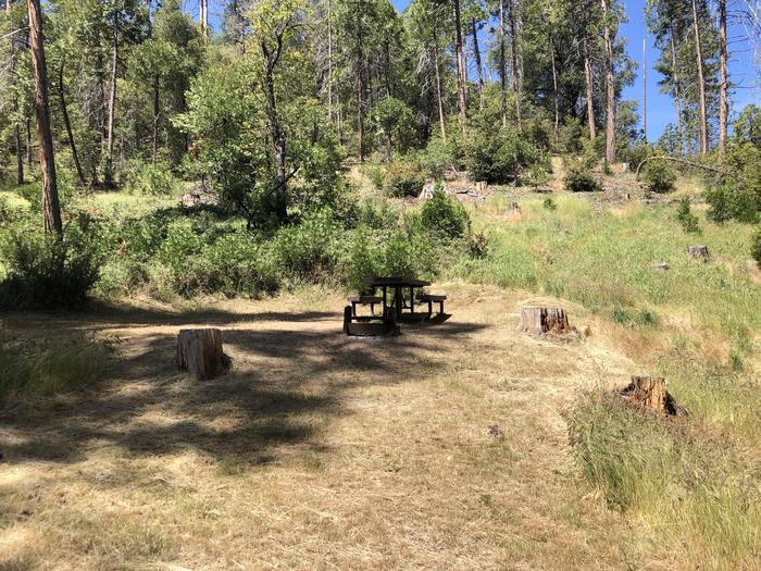 A photo of Site 096 of Loop 94-113 at LUPINE with Picnic Table, Fire Pit, Tent Pad