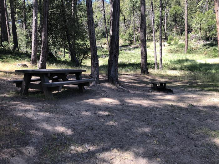 A photo of Site 099 of Loop 94-113 at LUPINE with Picnic Table, Fire Pit, Shade, Tent Pad