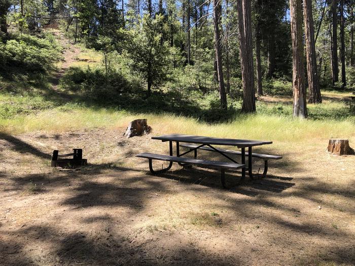 A photo of Site 098 of Loop 94-113 at LUPINE with Picnic Table, Fire Pit, Shade, Tent Pad