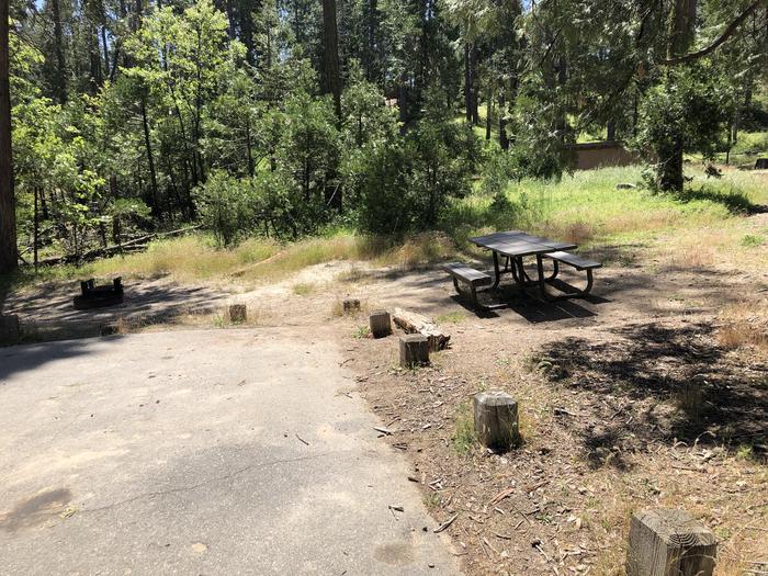 A photo of Site 081 of Loop 76-93 at LUPINE with Picnic Table, Fire Pit, Shade, Tent Pad