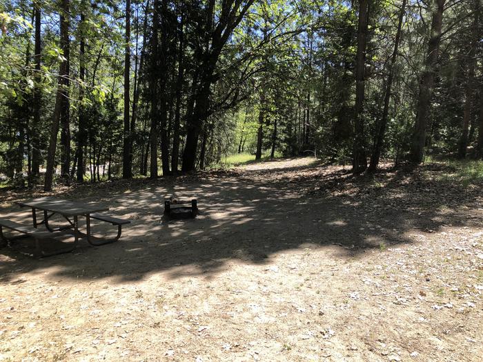 A photo of Site 108 of Loop 94-113 at LUPINE with Picnic Table, Fire Pit, Shade, Tent Pad