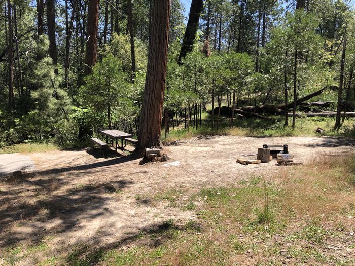 A photo of Site 082 of Loop 76-93 at LUPINE with Picnic Table, Fire Pit, Shade, Tent Pad