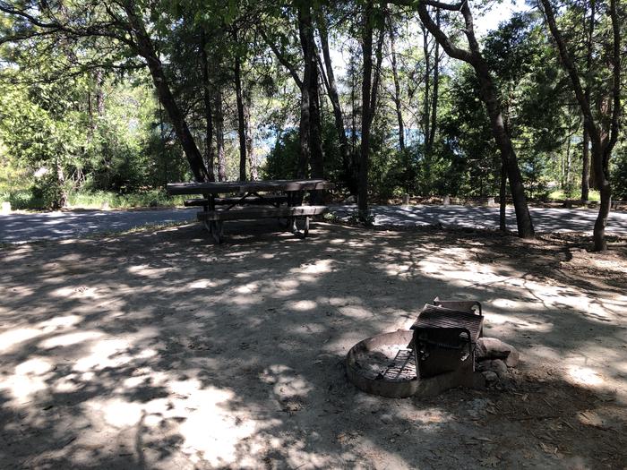 A photo of Site 110 of Loop 94-113 at LUPINE with Picnic Table, Fire Pit, Shade, Tent Pad