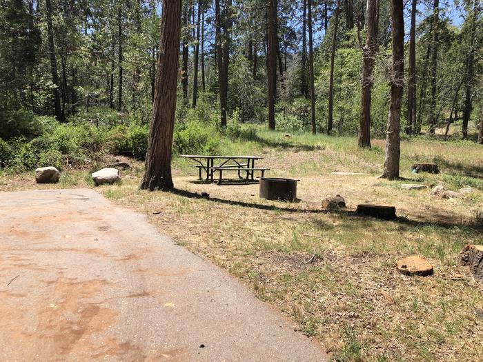 A photo of Site 058 of Loop SPRING COVE at SPRING COVE with Picnic Table, Fire Pit, Food Storage, Tent Pad