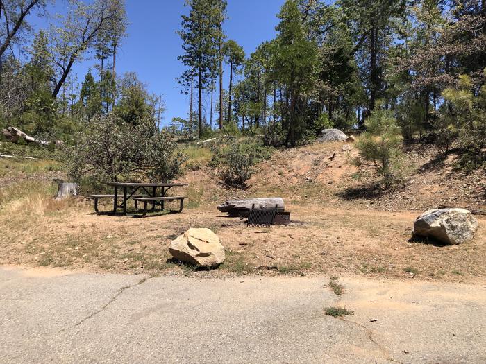 A photo of Site 042 of Loop SPRING COVE at SPRING COVE with Picnic Table, Fire Pit, Food Storage, Tent Pad