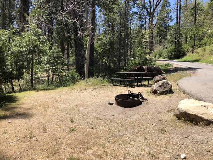 A photo of Site 031 of Loop SPRING COVE at SPRING COVE with Picnic Table, Fire Pit, Shade, Food Storage, Tent Pad