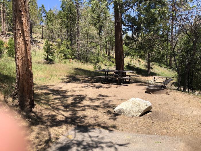 A photo of Site 037 of Loop SPRING COVE at SPRING COVE with Picnic Table, Fire Pit, Shade, Food Storage, Tent Pad