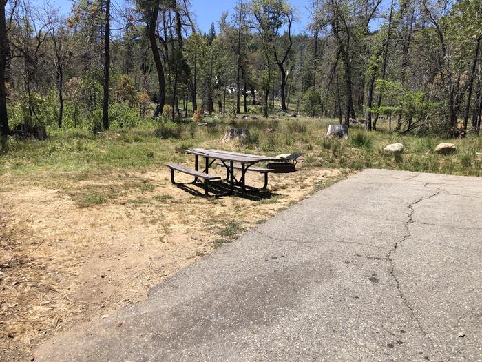 A photo of Site 038 of Loop SPRING COVE at SPRING COVE with Picnic Table, Fire Pit, Food Storage, Tent Pad