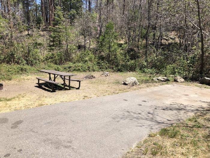 A photo of Site 052 of Loop SPRING COVE at SPRING COVE with Picnic Table, Fire Pit, Food Storage, Tent Pad