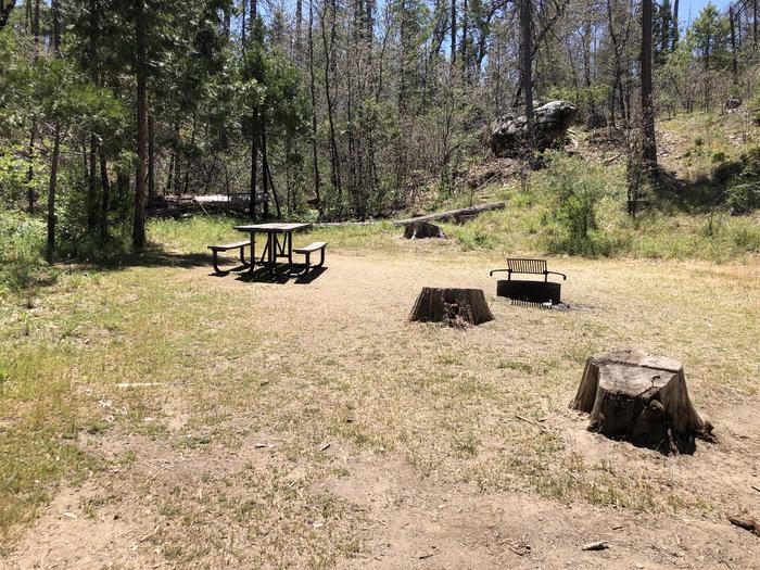 A photo of Site 050 of Loop SPRING COVE at SPRING COVE with Picnic Table, Fire Pit, Shade, Food Storage, Tent Pad